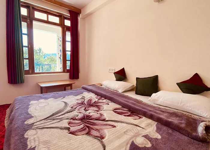 Madpackers Manali Hostel